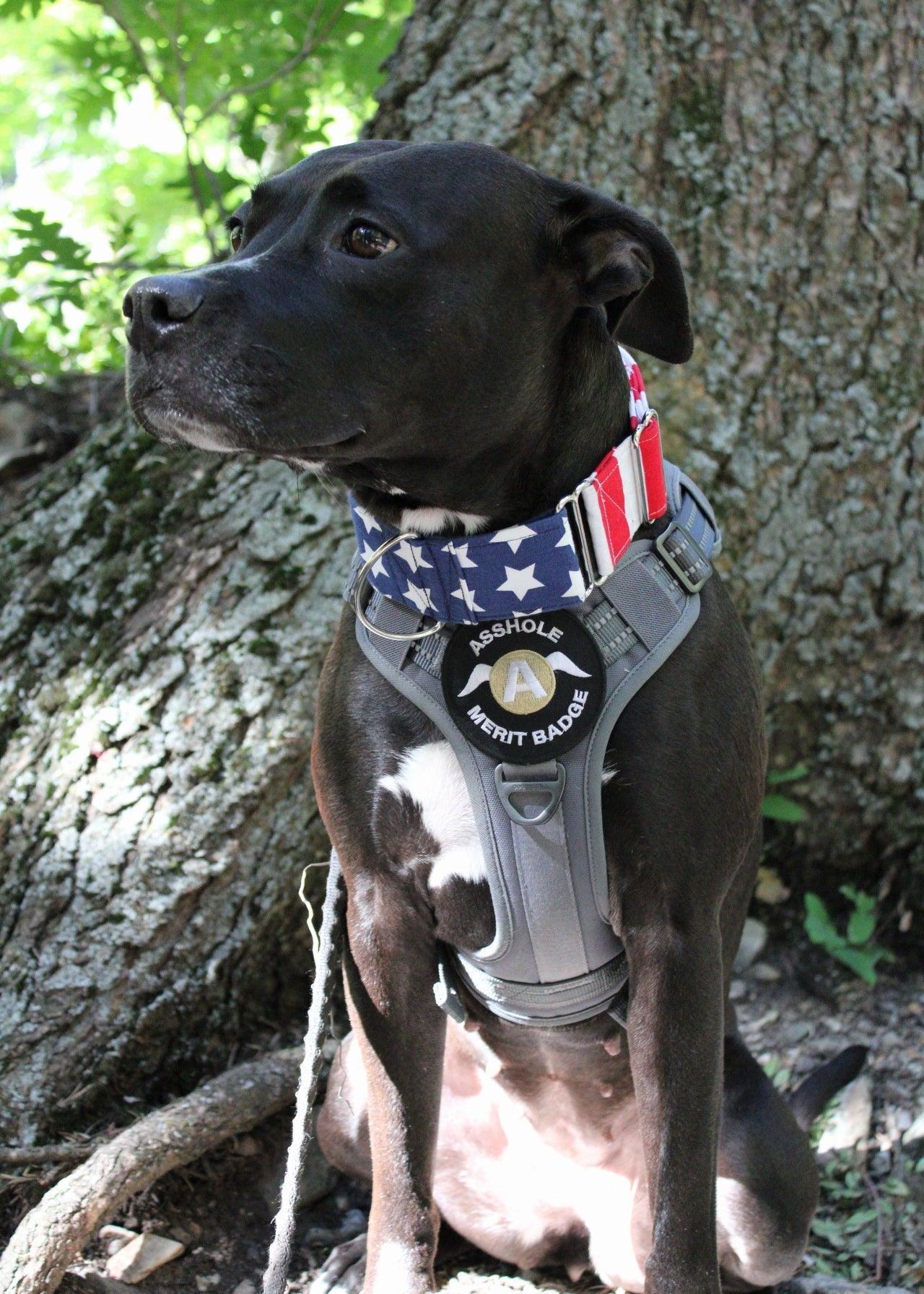Solid Escape Proof Tactical Dog Vest Harness