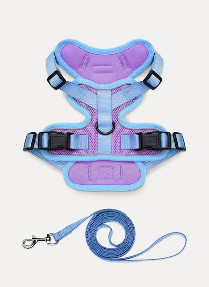 Rabbitgoo Fusion Adjustable cat harness and leash set