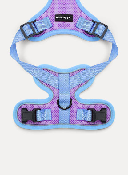 Rabbitgoo Fusion Adjustable cat harness and leash set