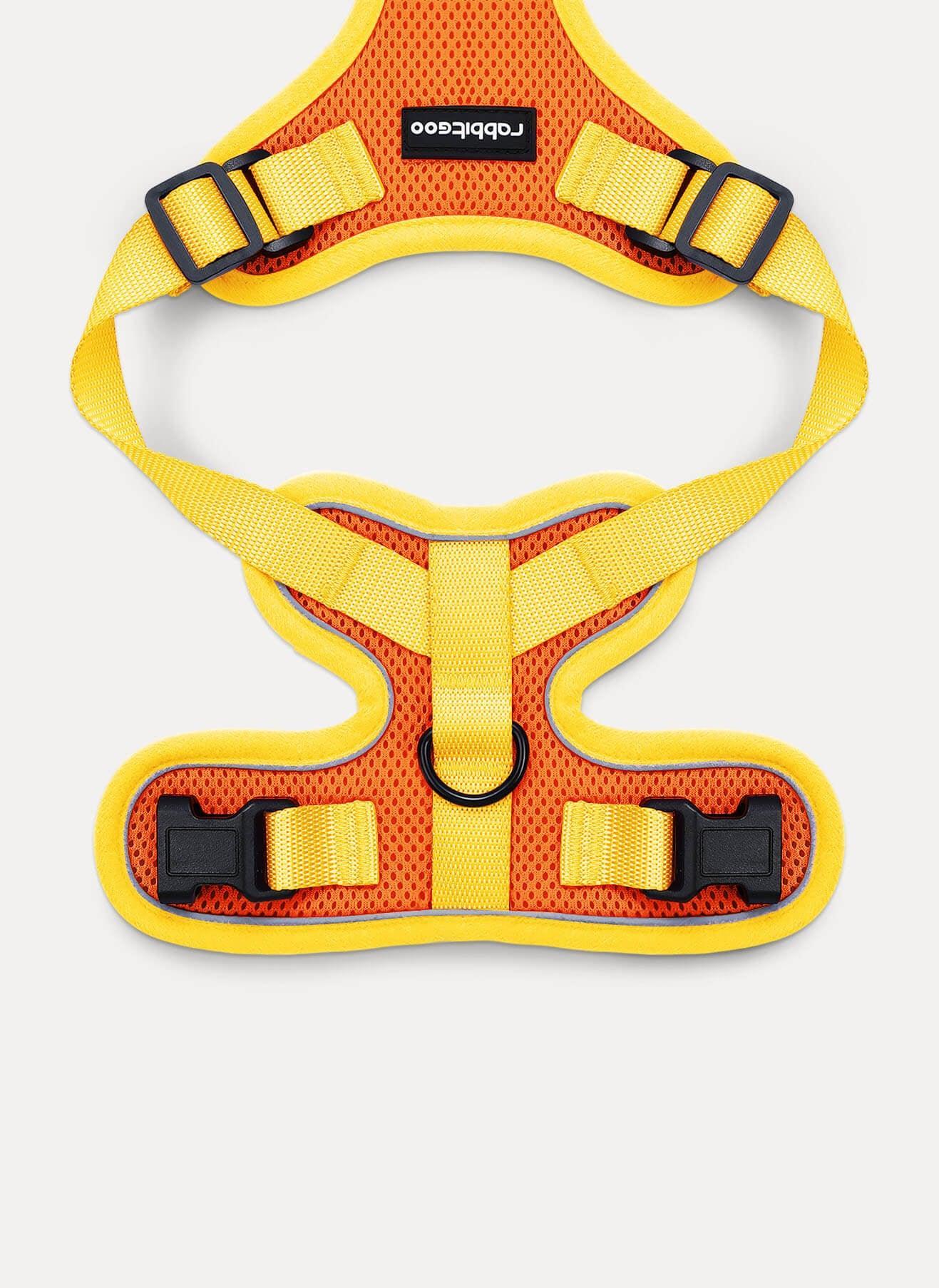 Rabbitgoo Fusion Adjustable cat harness and leash set