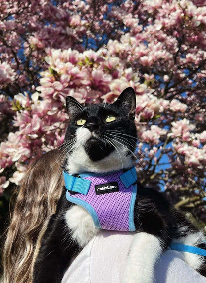 Rabbitgoo Fusion Adjustable cat harness and leash set