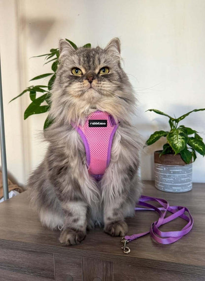 Rabbitgoo Fusion Adjustable cat harness and leash set