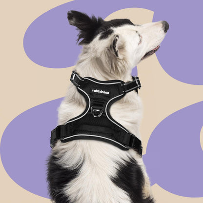 No Pull Dog Harness and Leash Set