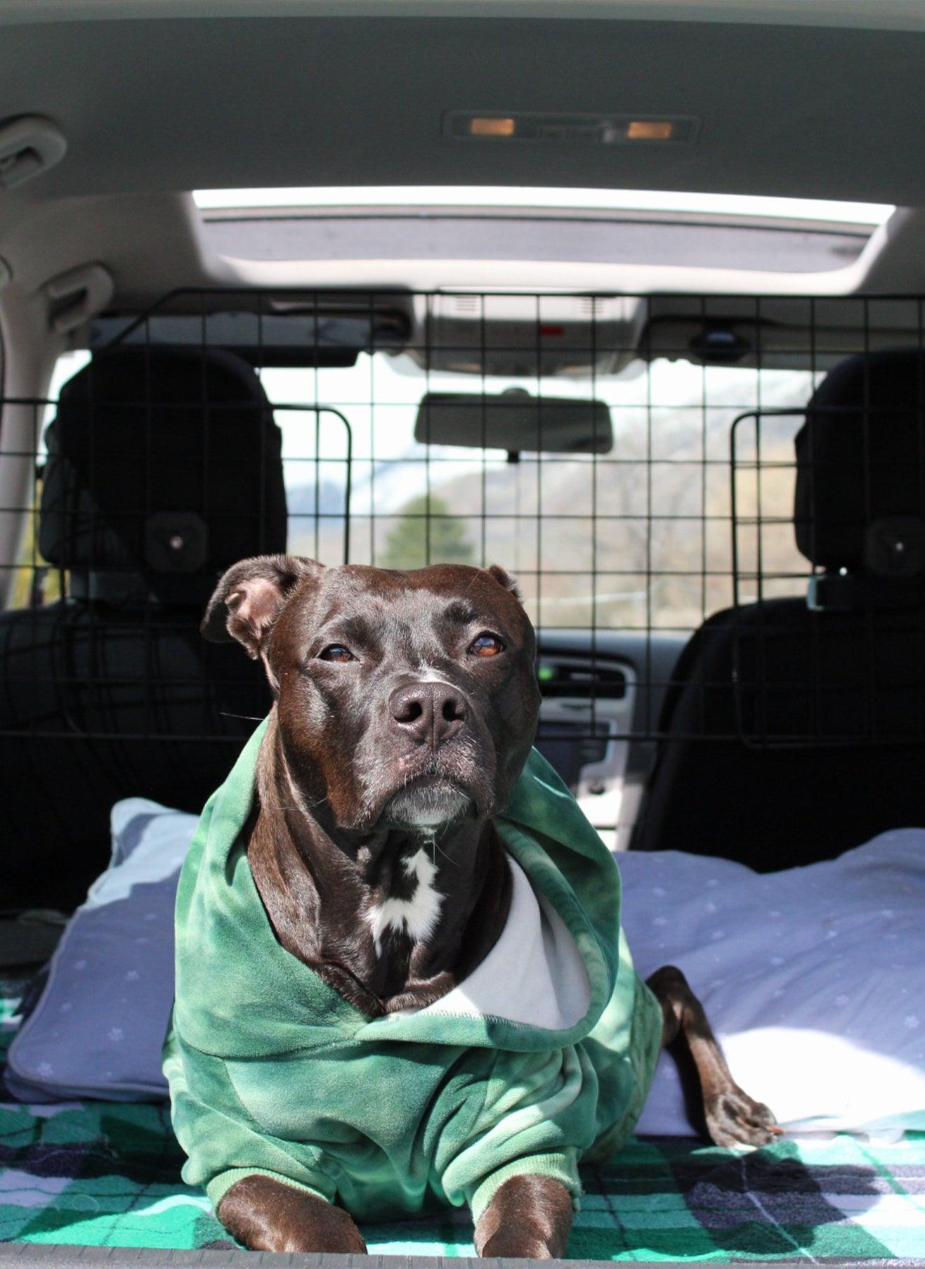 Rabbitgoo Adjustable Dog Car Barrier