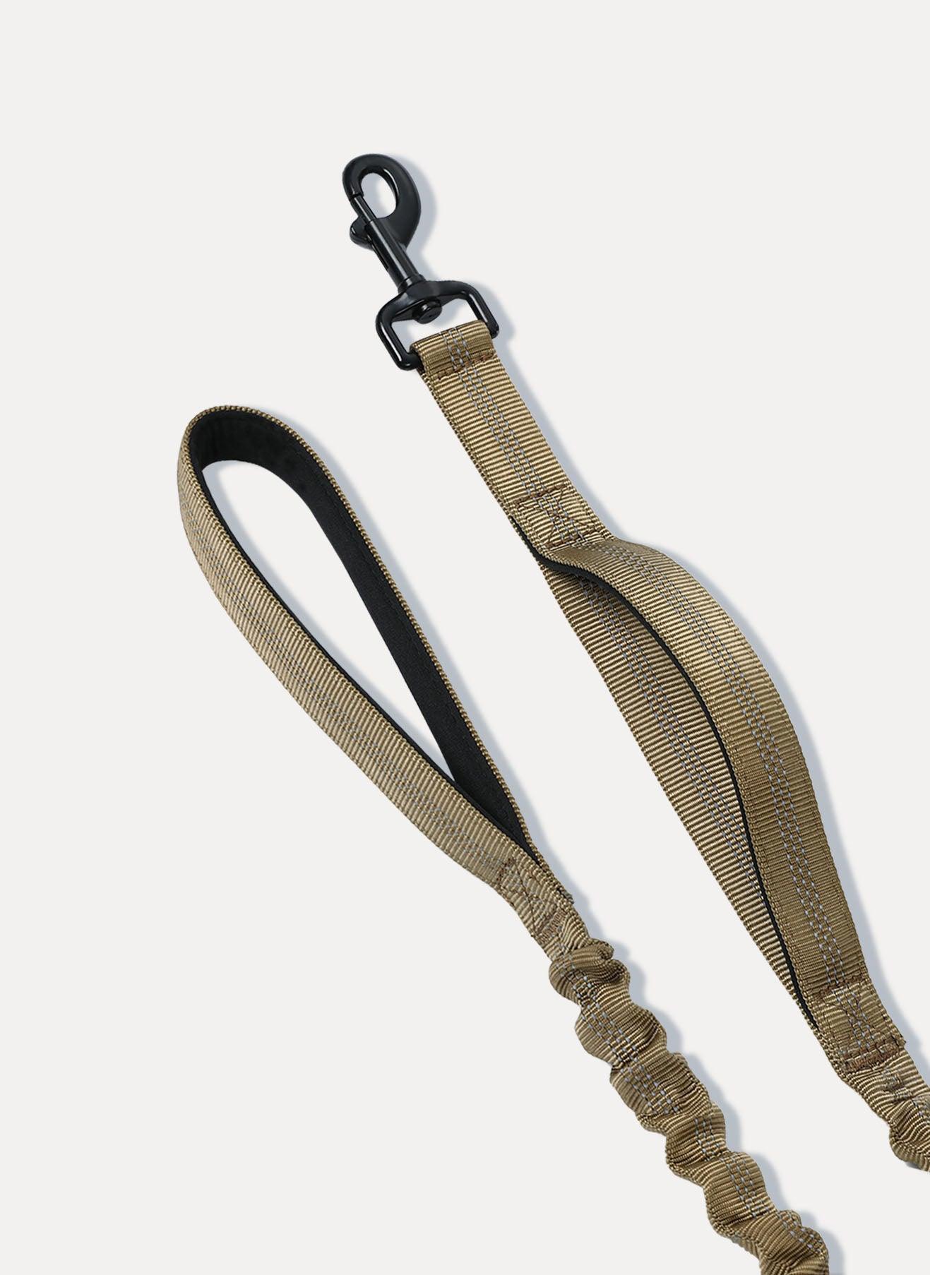 Rabbitgoo Dog Leash with 2 Padded Traffic Control Handles