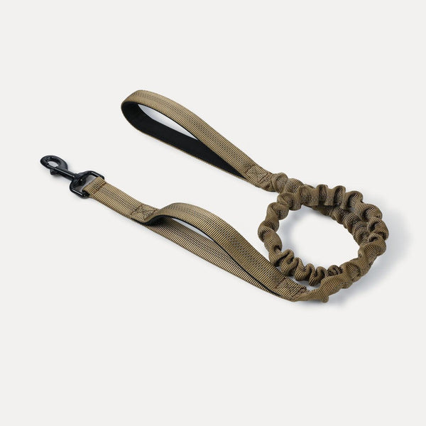 Rabbitgoo Dog Leash with 2 Padded Traffic Control Handles