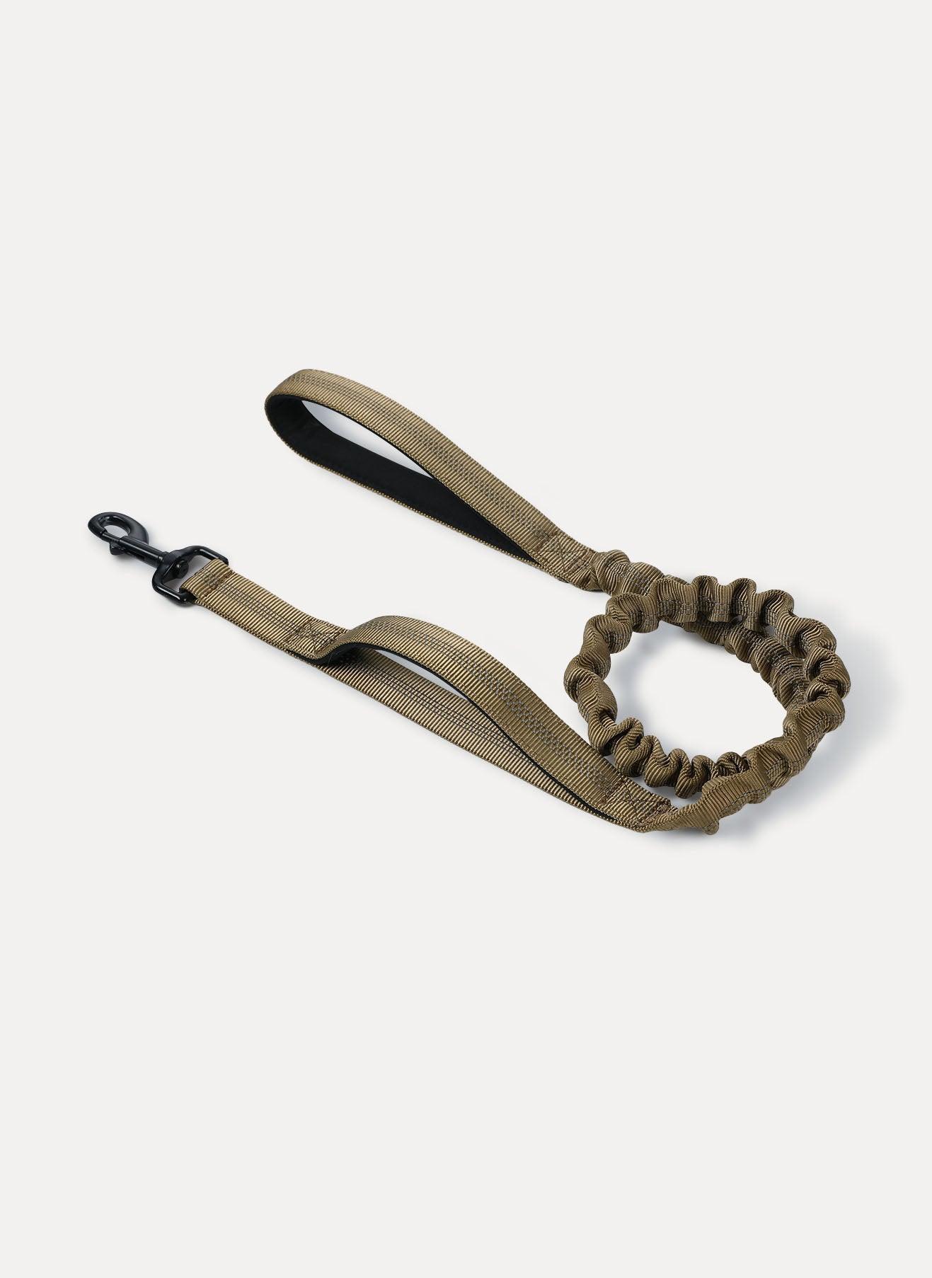 Rabbitgoo Dog Leash with 2 Padded Traffic Control Handles