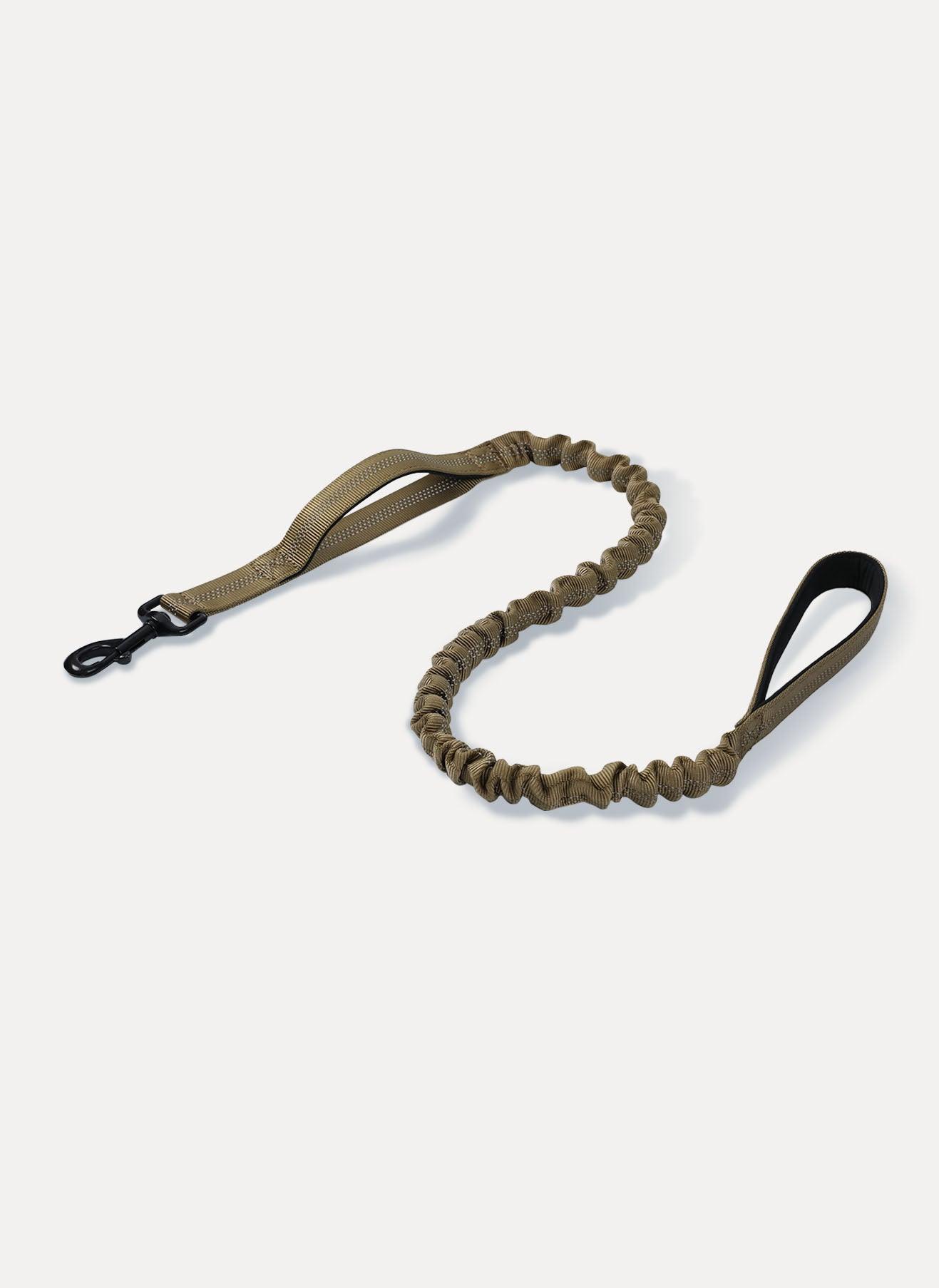 Rabbitgoo Dog Leash with 2 Padded Traffic Control Handles