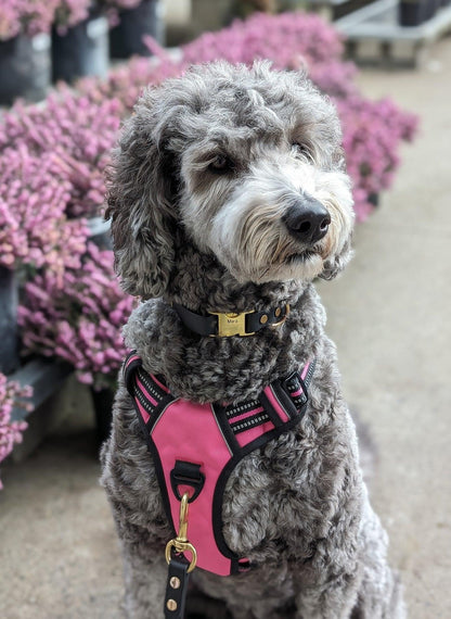 Uplift Pro Adjustable Dog Harness with Neck Buckle-2 #Pink