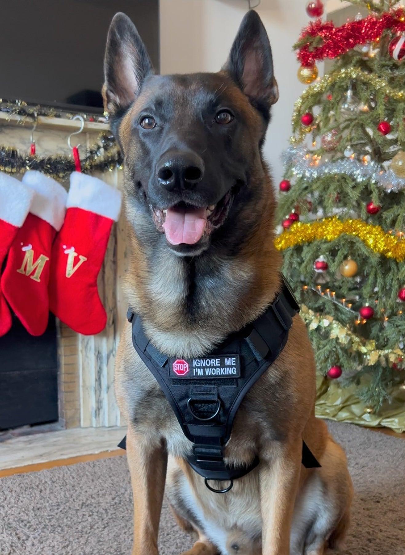Mega Tactical Dog Harness with Handle