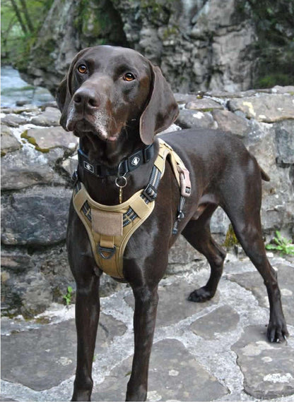 Solid Escape Proof Tactical Dog Vest Harness