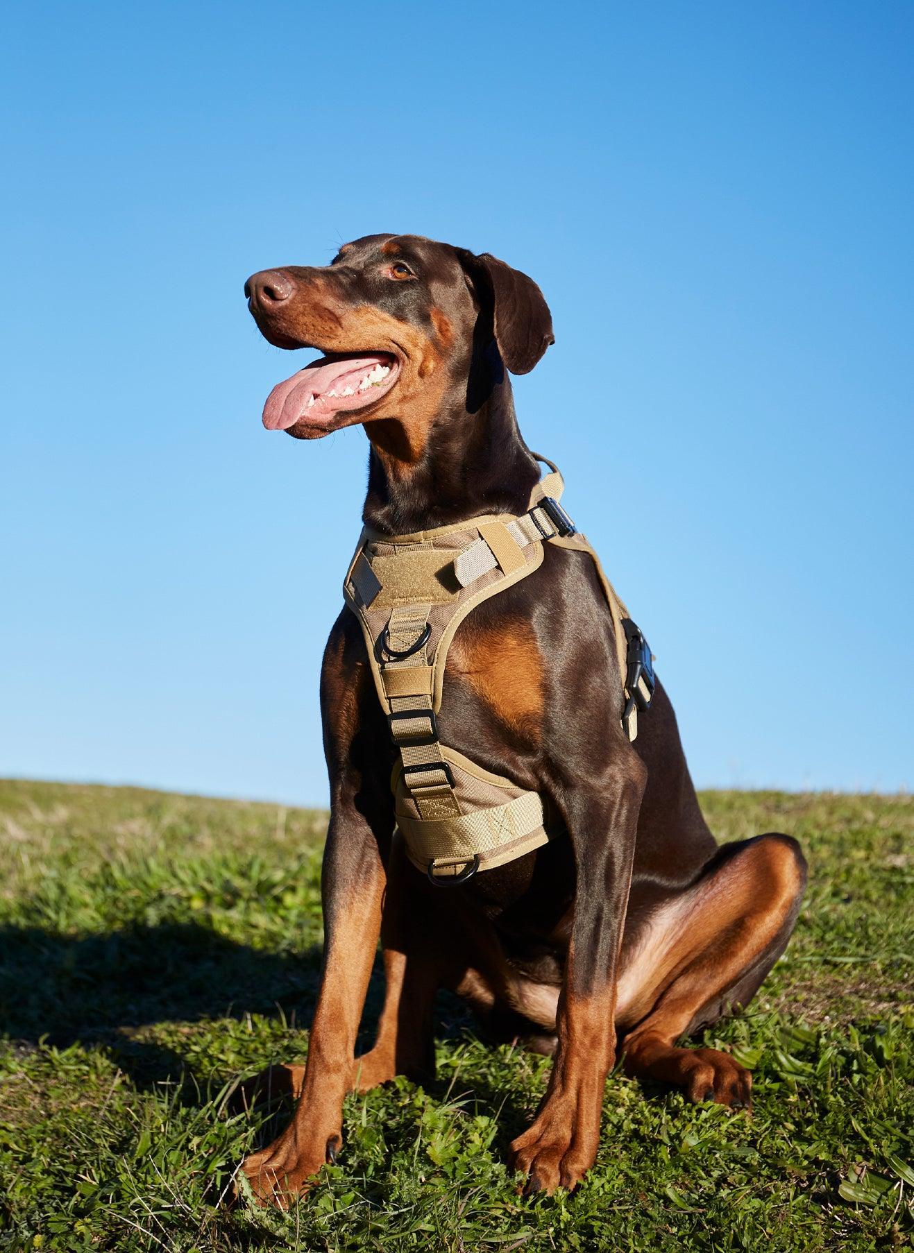 Mega Tactical Dog Harness with Handle