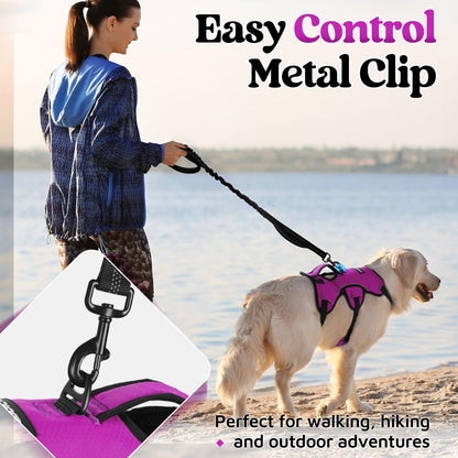 Lift Assist Large Dog Harness with Handle