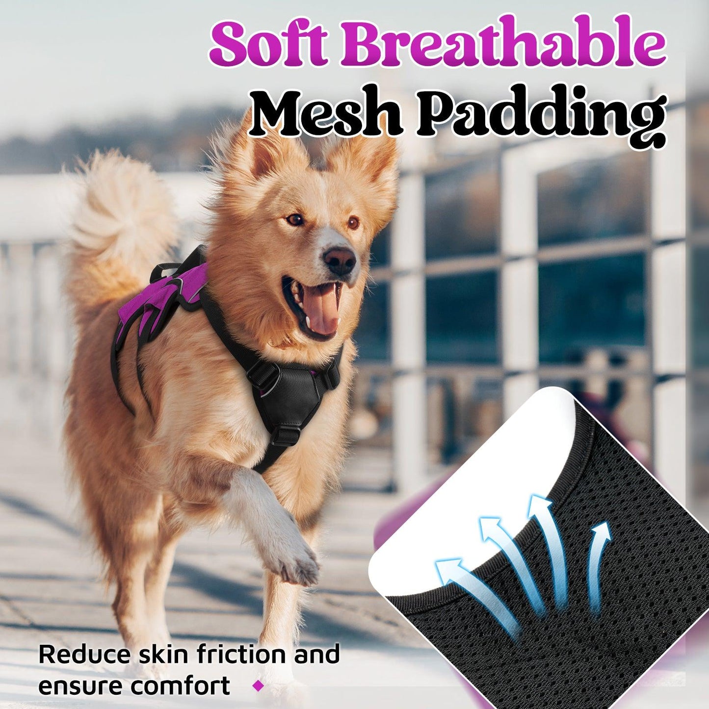 Lift Assist Large Dog Harness with Handle