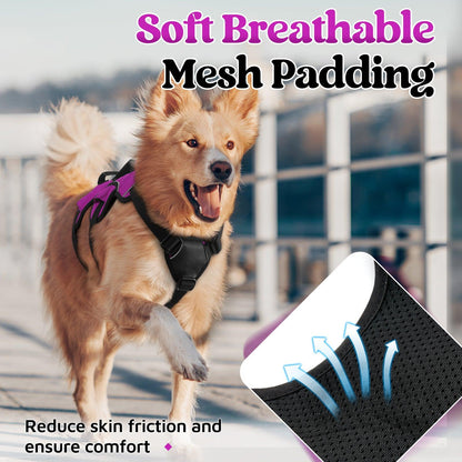 Lift Assist Large Dog Harness with Handle