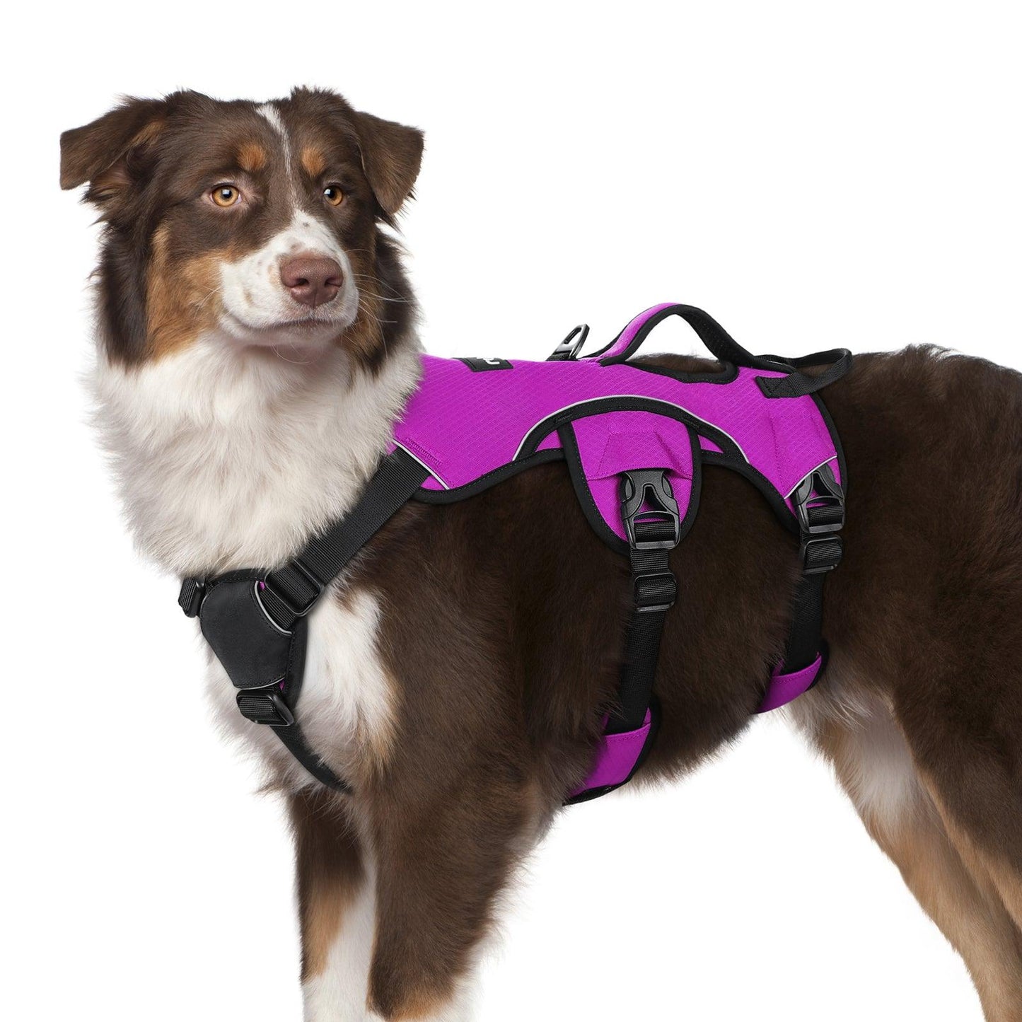 Lift Assist Large Dog Harness with Handle