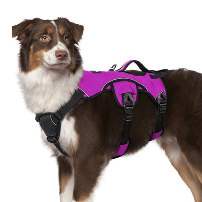 Lift Assist Large Dog Harness with Handle