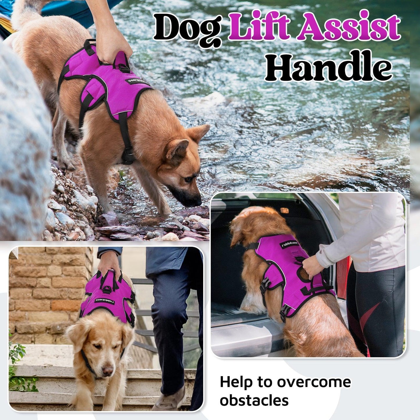 Lift Assist Large Dog Harness with Handle