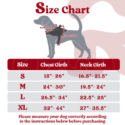 FLASH SALE: Easy Walk Dog Harness