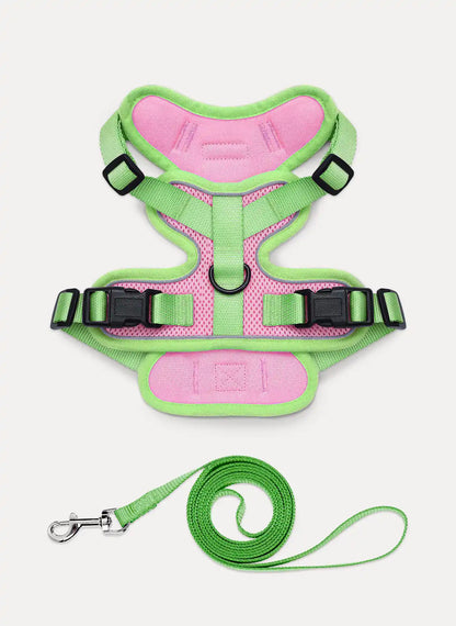 Rabbitgoo Fusion Adjustable cat harness and leash set