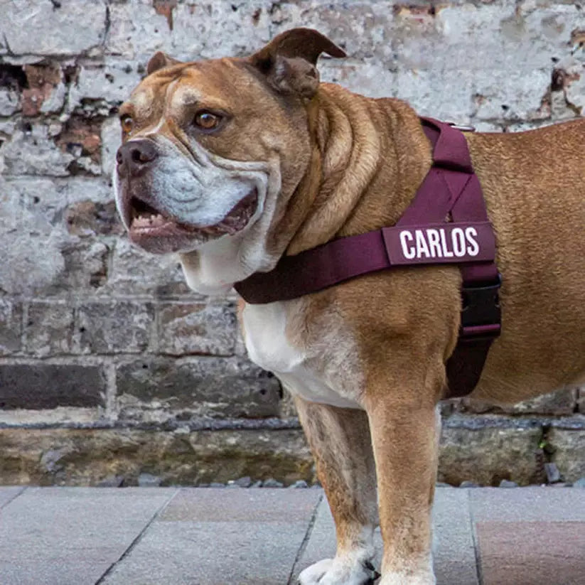 Puppioo Classic No Pull Harness #burgundy