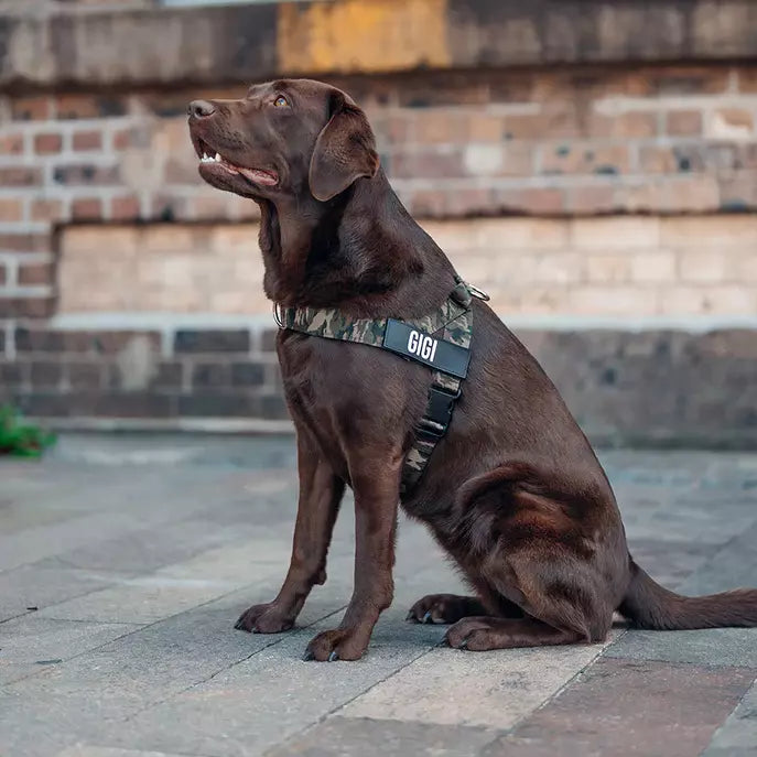 Puppioo Classic No Pull Harness #green camo