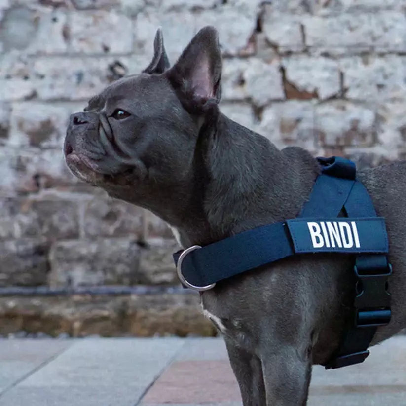 Puppioo Classic No Pull Harness #navy blue