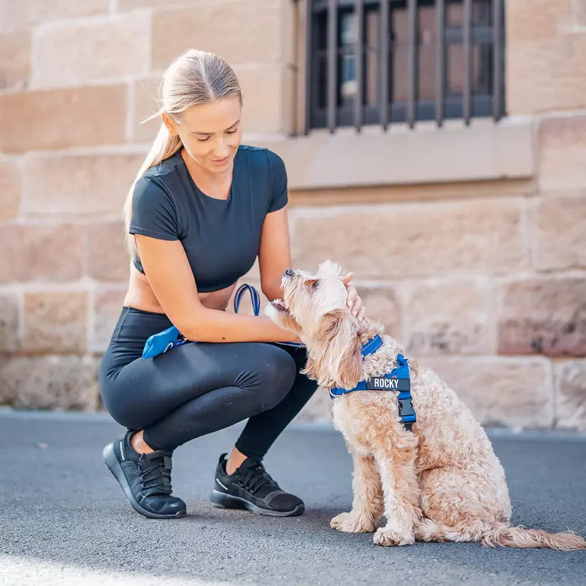 Puppioo Classic No Pull Harness #blue