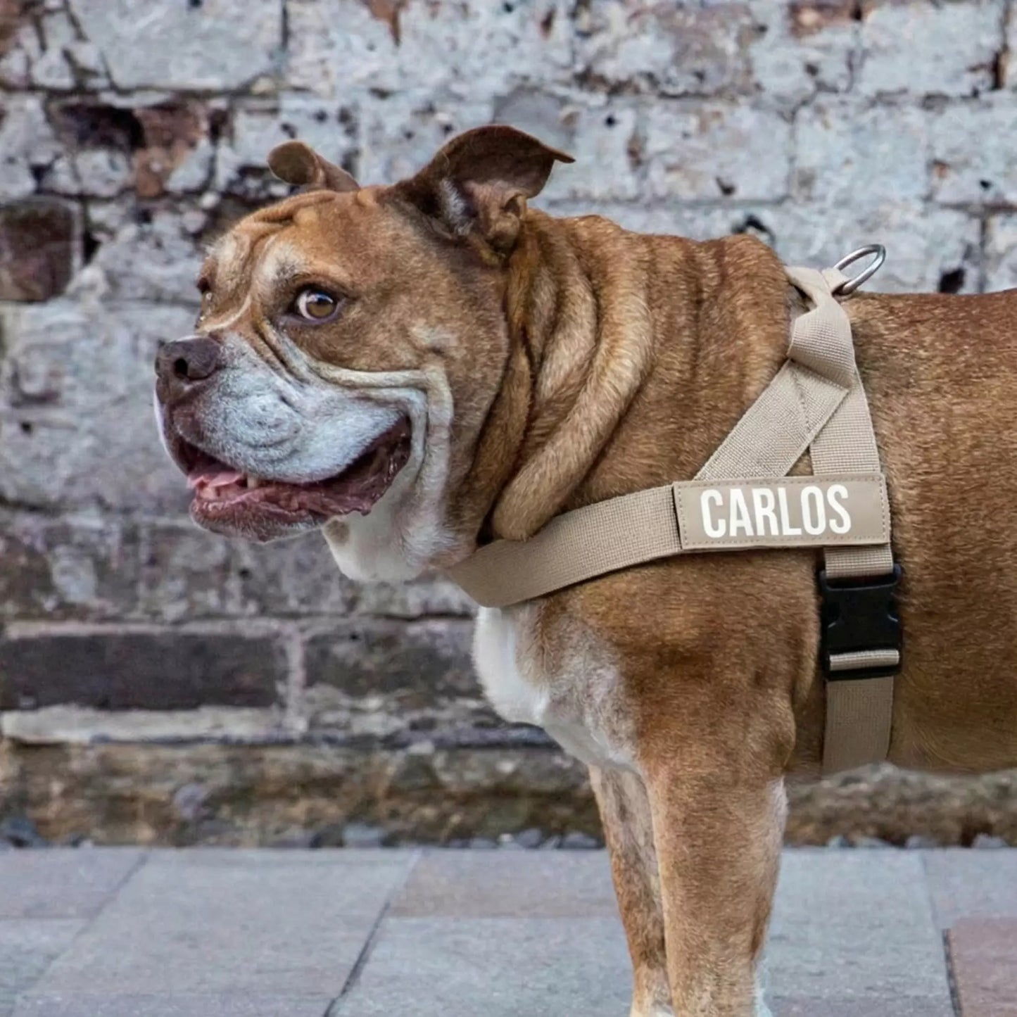 Puppioo Classic No Pull Harness #beige