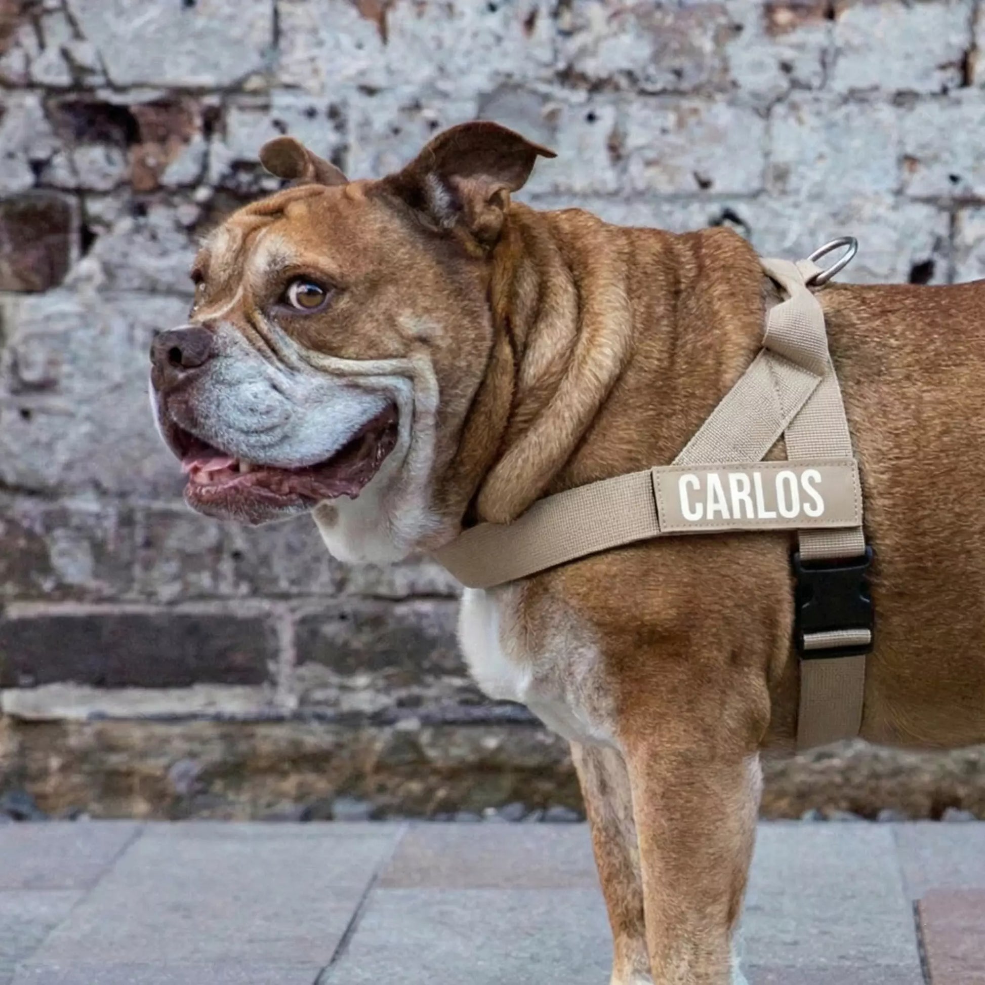 Puppioo Classic No Pull Harness #beige