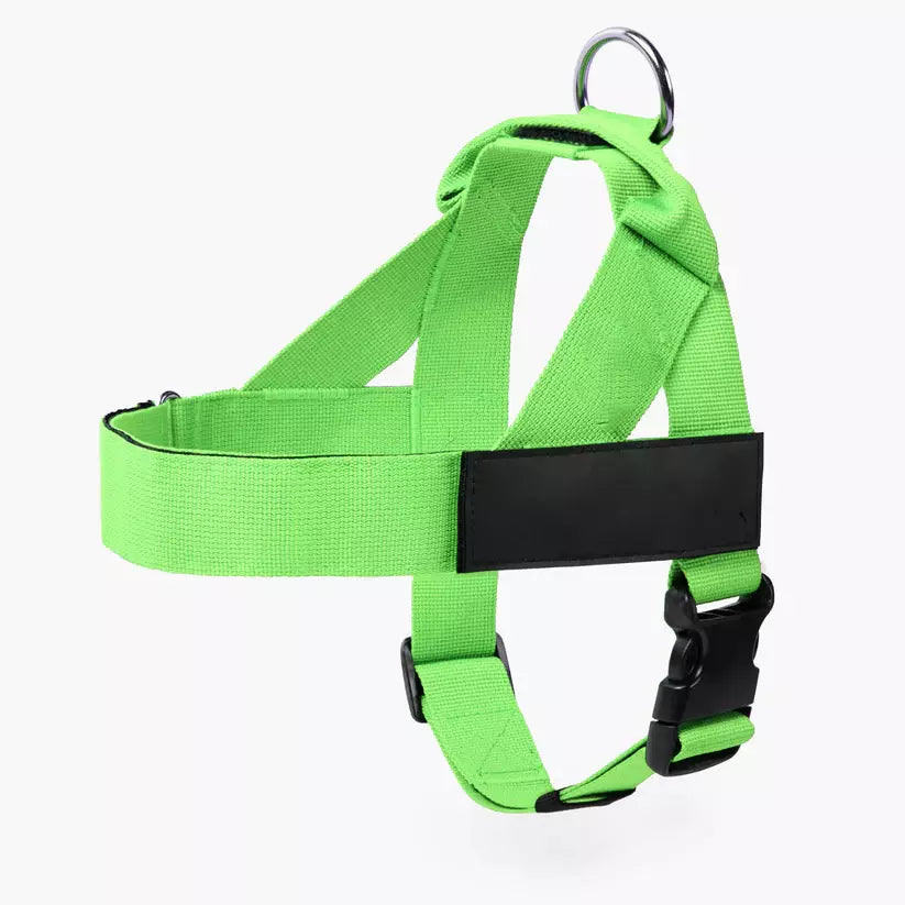Puppioo Classic No Pull Harness #light green