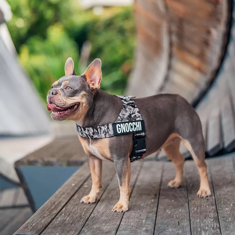 Puppioo Classic No Pull Harness #grey camo