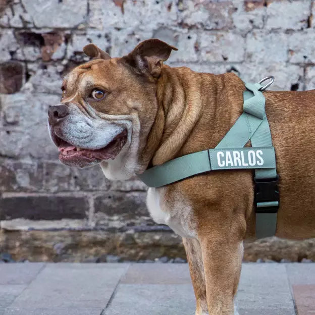 Puppioo Classic No Pull Harness #khaki