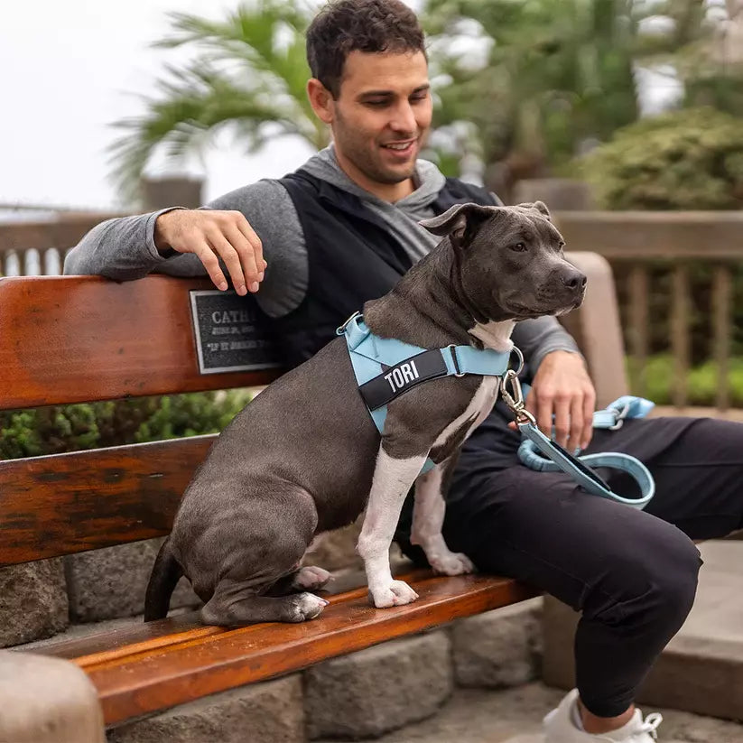 Puppioo Classic No Pull Harness #sky blue