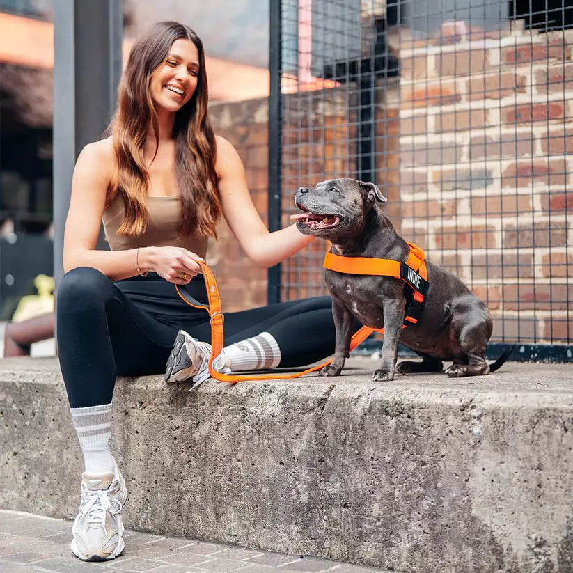 Puppioo Classic No Pull Harness #orange