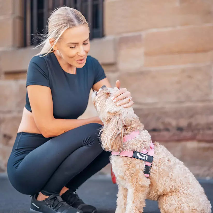 Puppioo Classic No Pull Harness #pink