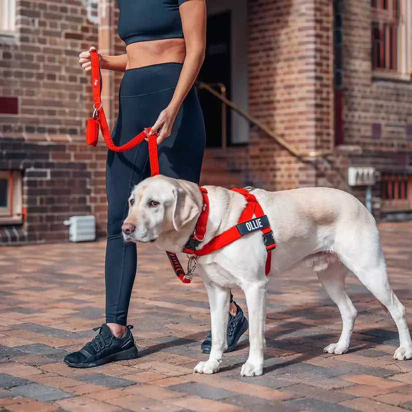 Puppioo Classic No Pull Harness #red