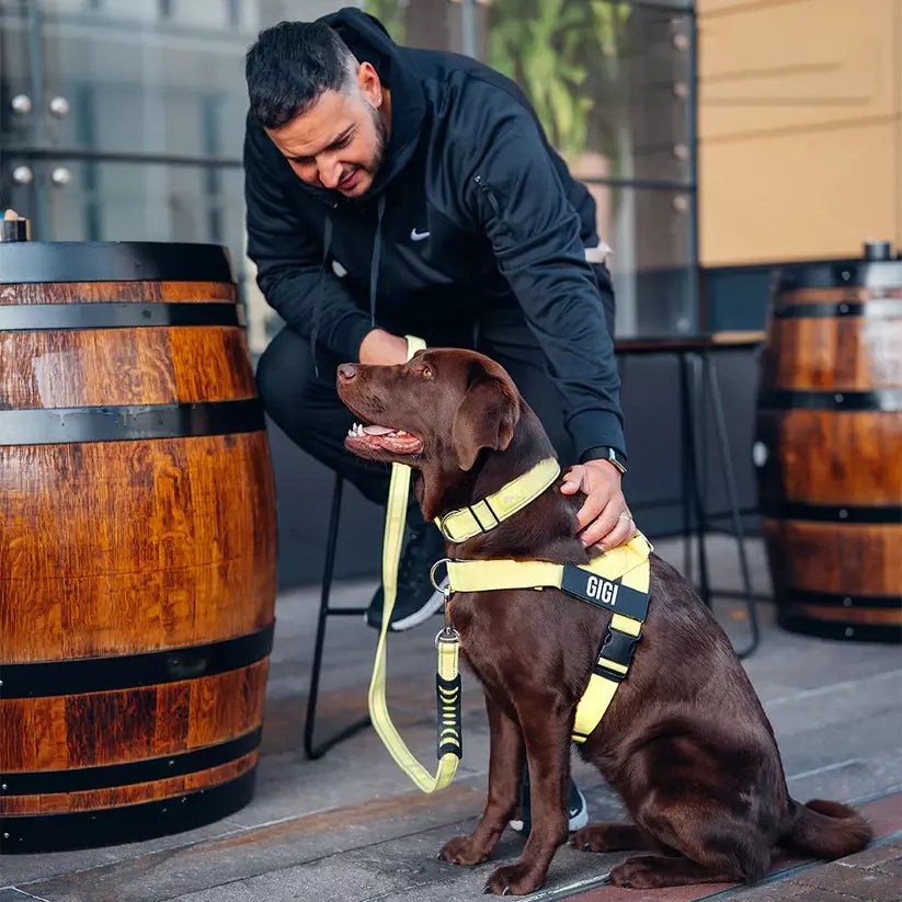 Puppioo Classic No Pull Harness #yellow