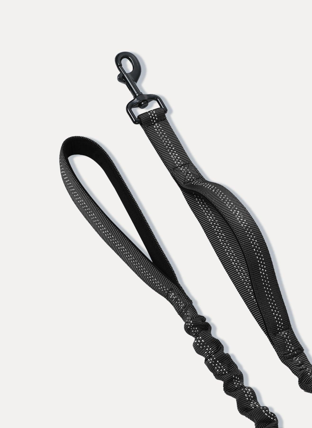 Rabbitgoo Dog Leash with 2 Padded Traffic Control Handles