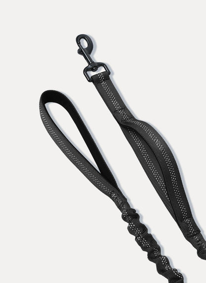 Rabbitgoo Dog Leash with 2 Padded Traffic Control Handles