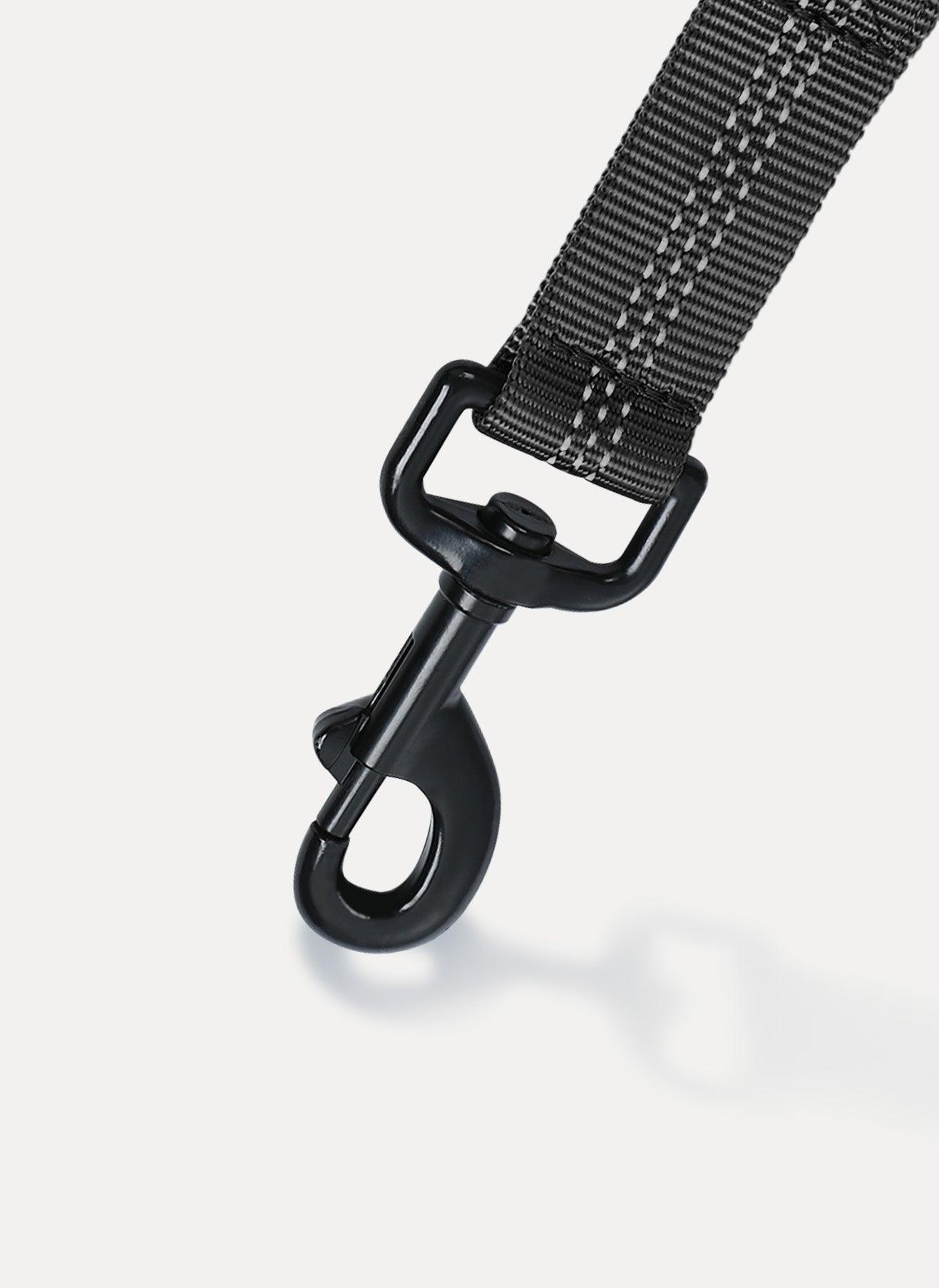 Rabbitgoo Dog Leash with 2 Padded Traffic Control Handles