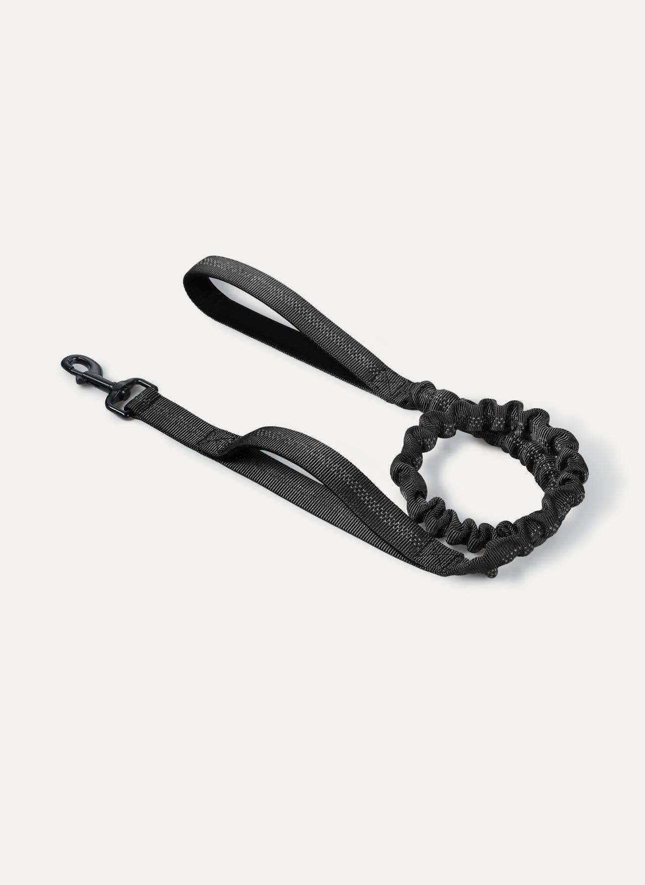 Rabbitgoo Dog Leash with 2 Padded Traffic Control Handles