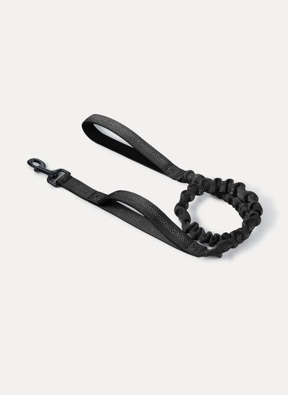 Rabbitgoo Dog Leash with 2 Padded Traffic Control Handles