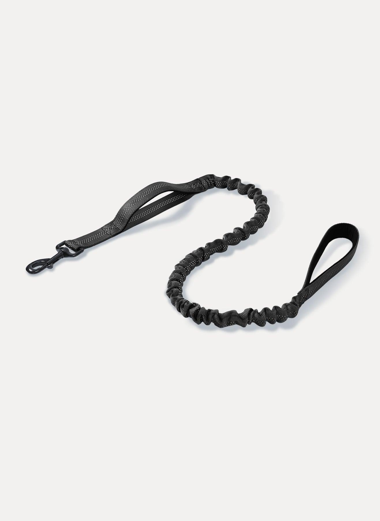 Rabbitgoo Dog Leash with 2 Padded Traffic Control Handles