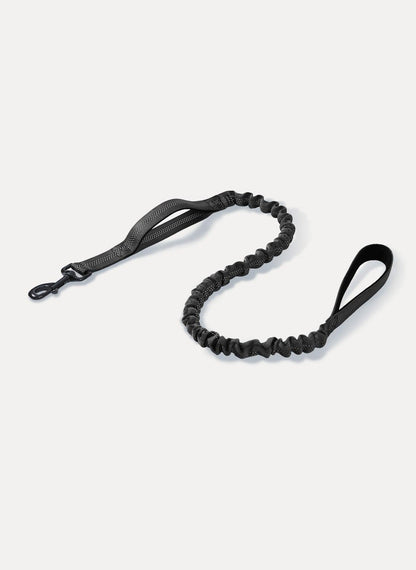 Rabbitgoo Dog Leash with 2 Padded Traffic Control Handles