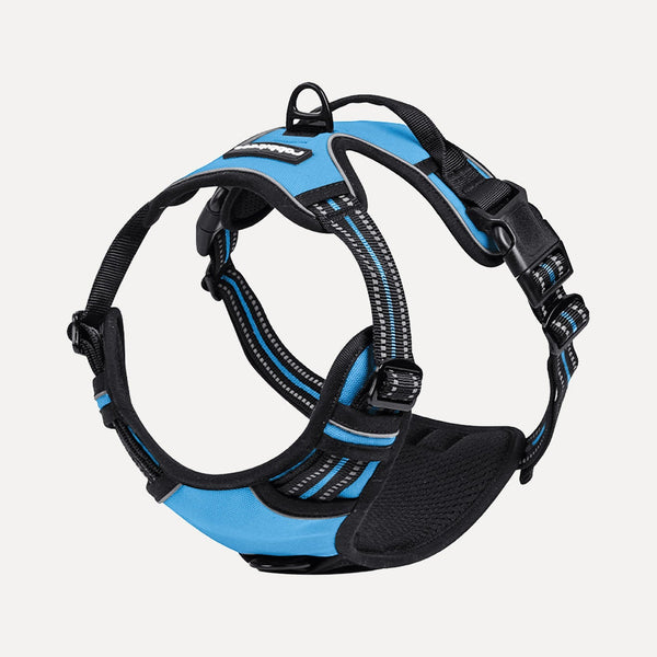 Classic Fit No Pull Dog Harness