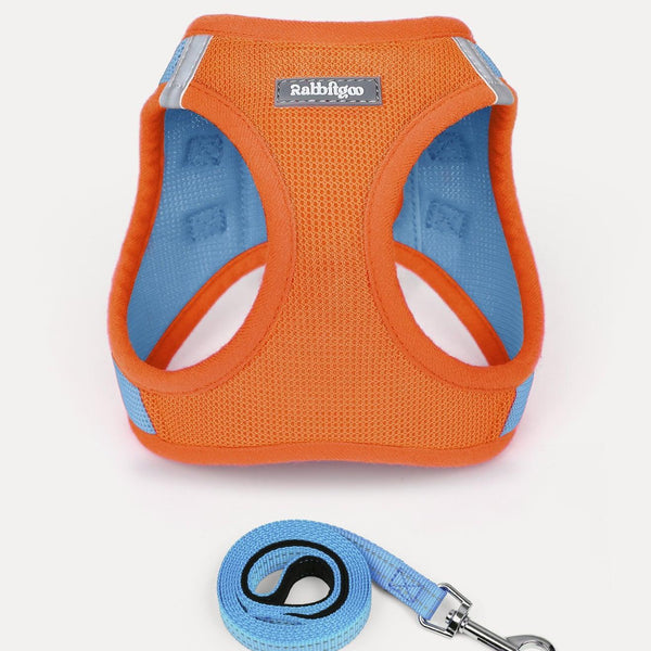 Minifit Small Dog Harness and Leash Set