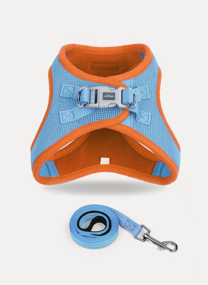 Minifit Small Dog Harness and Leash Set