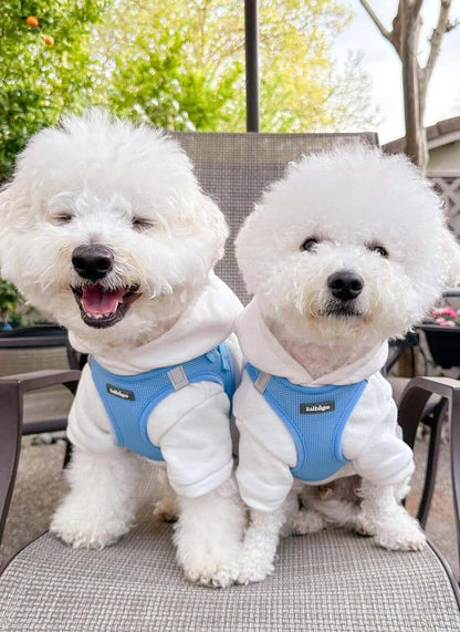 Minifit Small Step-in Dog Harness