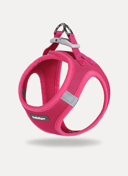 Minifit Small Dog Harness and Leash Set